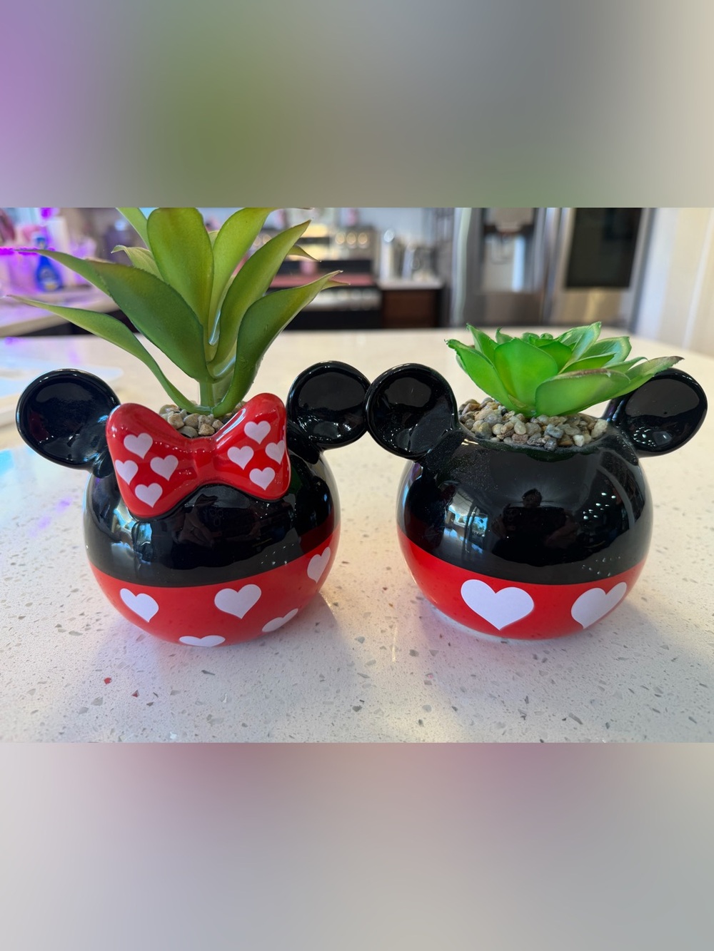 Mickey & Minnie Mouse Artificial Succulent Planters Set of 2